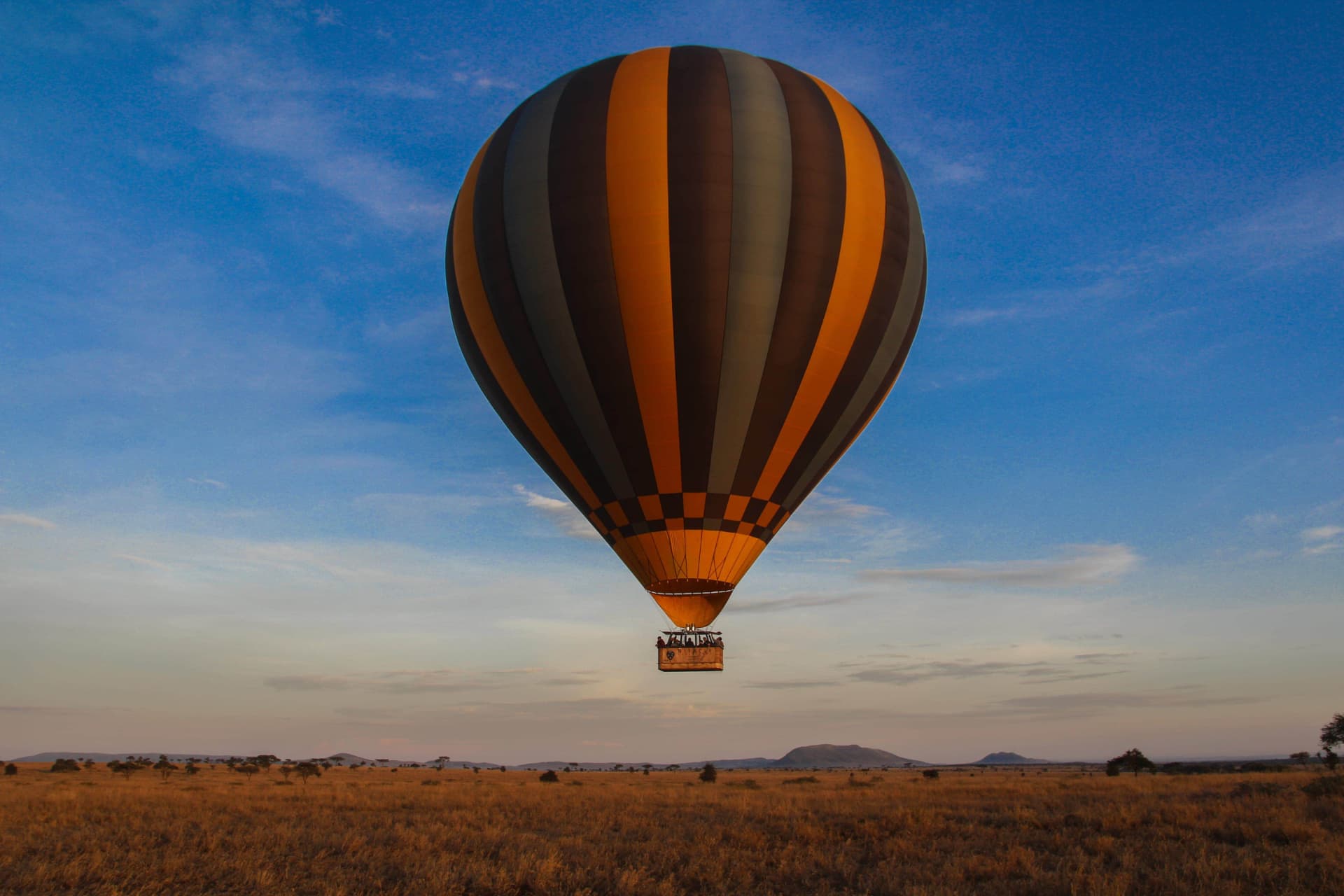 Balloon safari