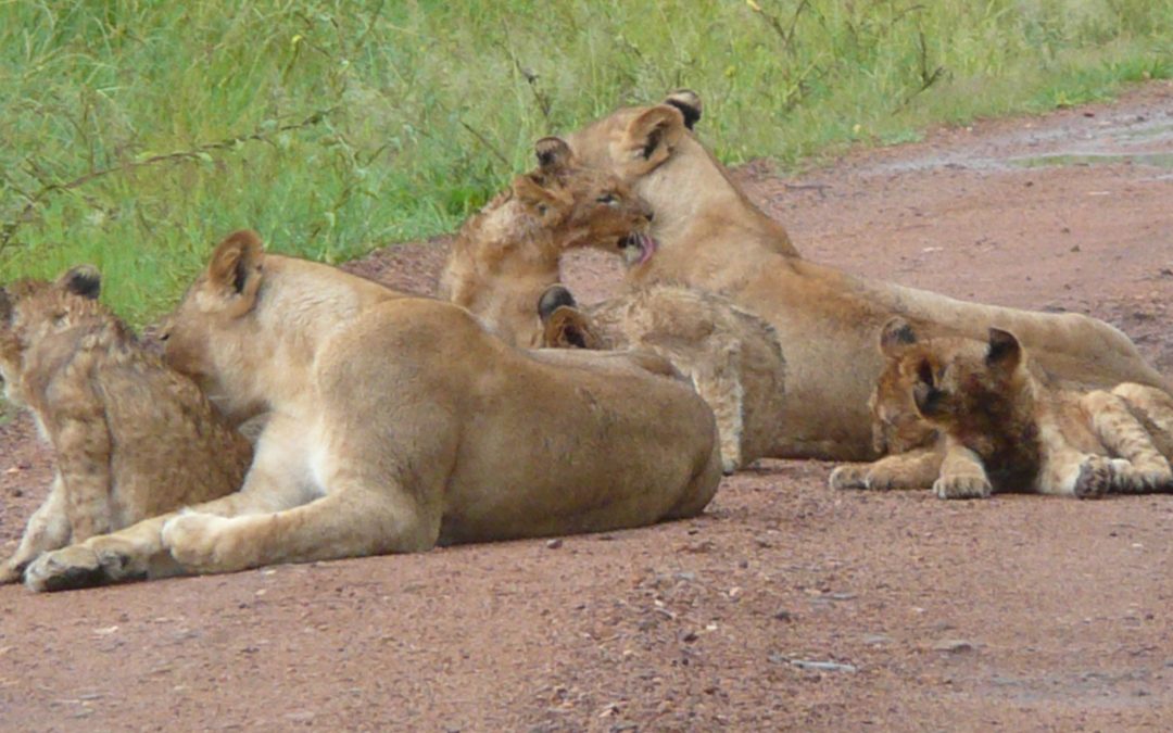 Tarangire National Park