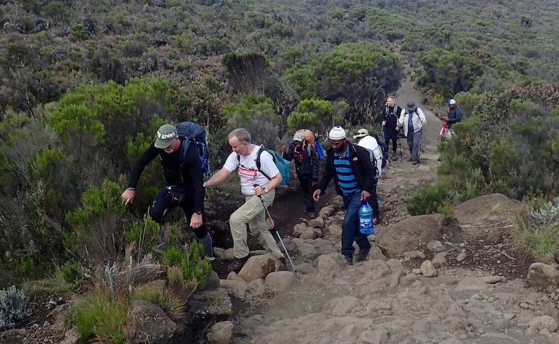 kilimanjaro trek