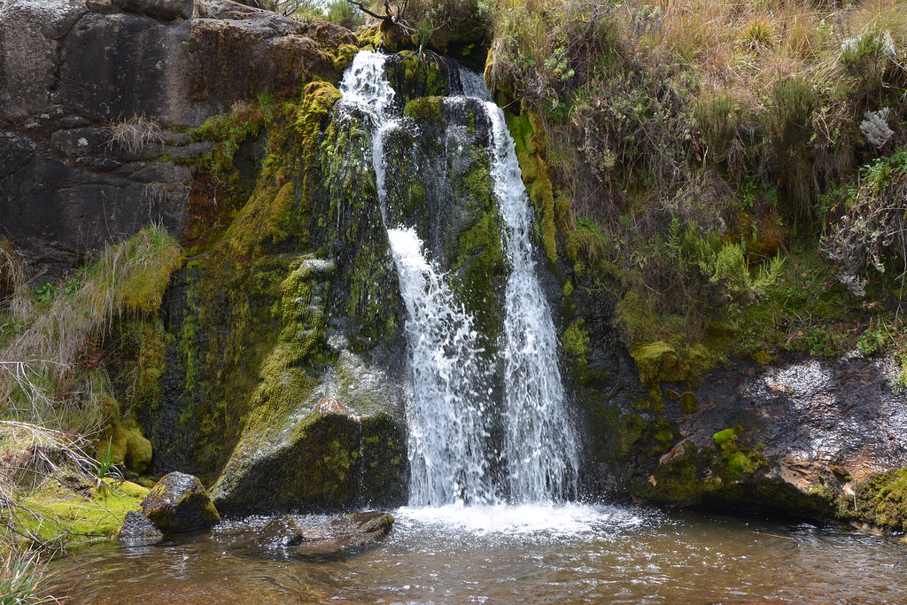 kitulo