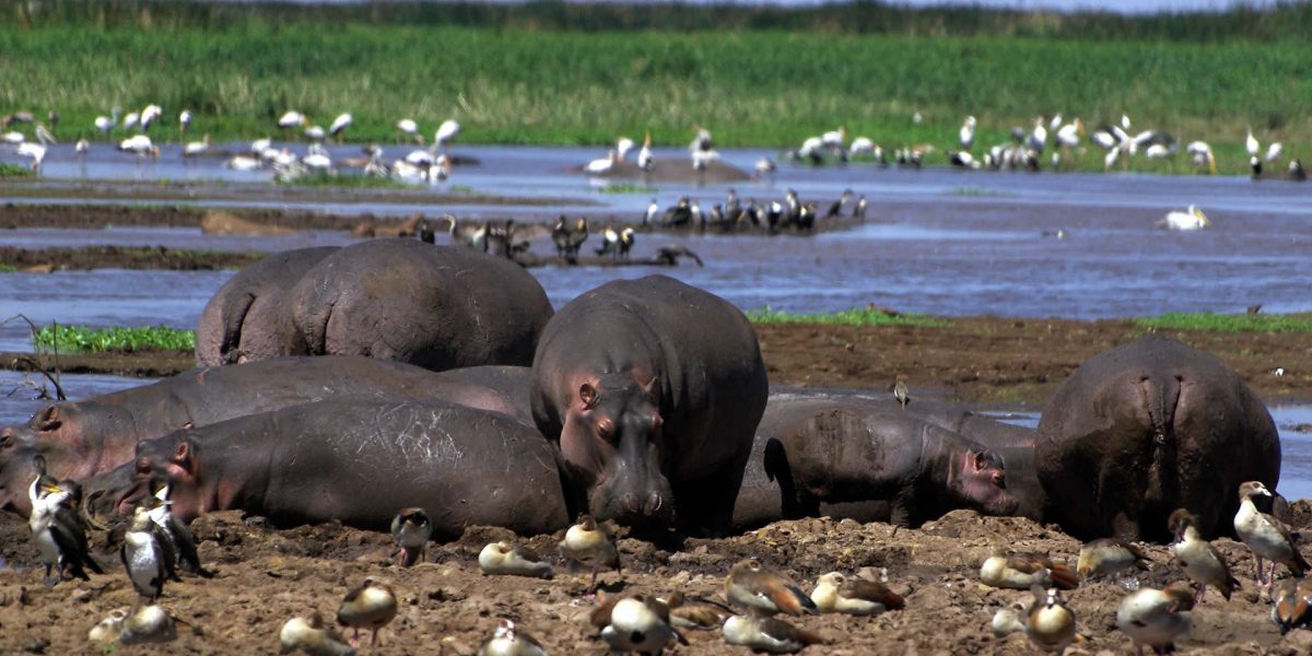 lake manyara1