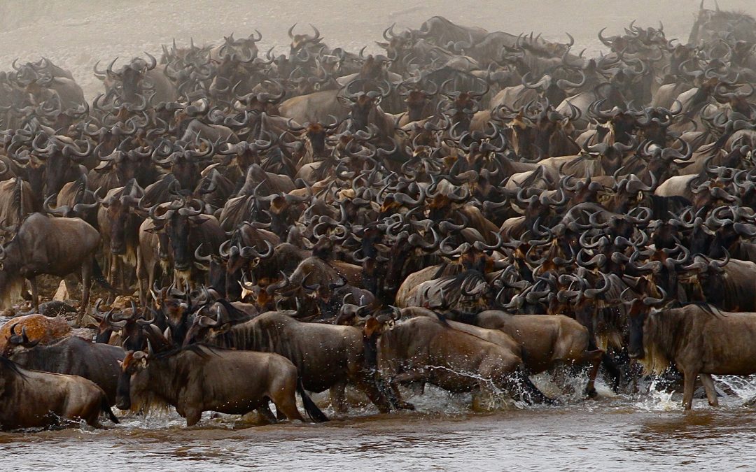 Serengeti National Park